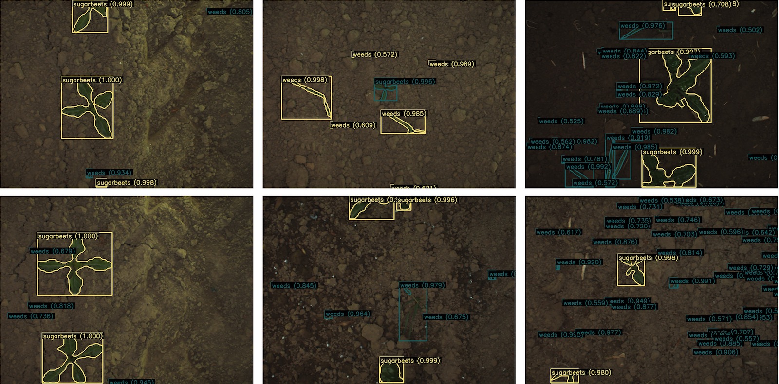 ../_images/tutorials_SugarBeets2016_inference_output.jpg